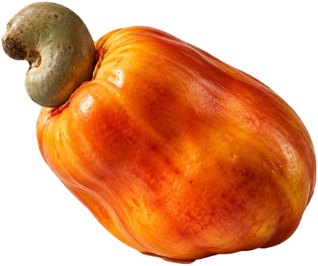 Caju alaranjado com a castanha, símbolo da criatividade natural da agência